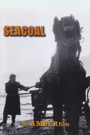 Seacoal streaming
