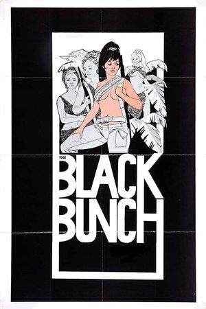 The Black Bunch streaming