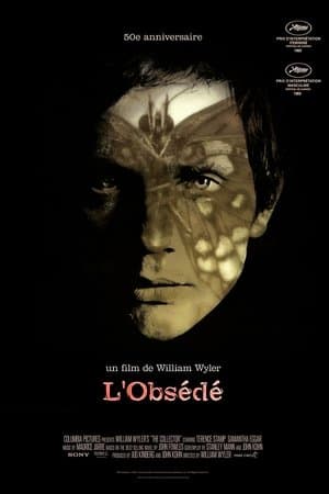 L'Obsédé streaming