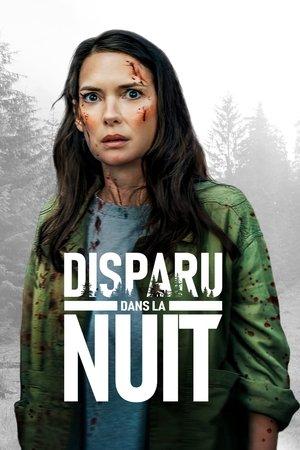 Disparu dans la nuit streaming