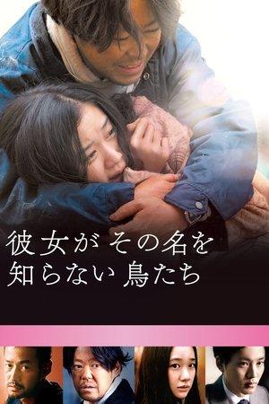 Kanojo ga sono na wo shiranai toritachi streaming