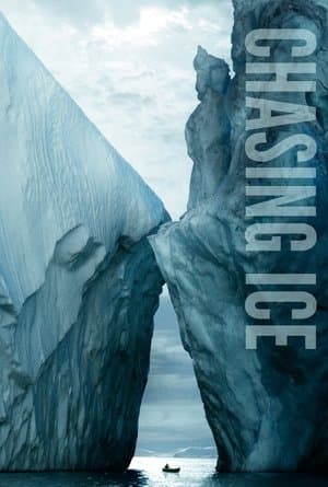 Chasing Ice streaming