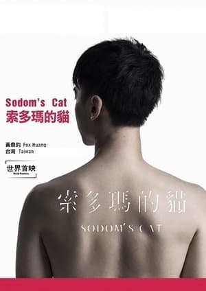 索多瑪的貓 streaming