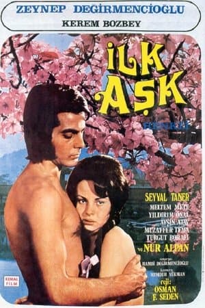 İlk Aşk streaming