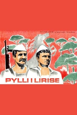 Pylli i lirisë streaming