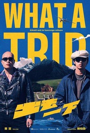What A Trip streaming