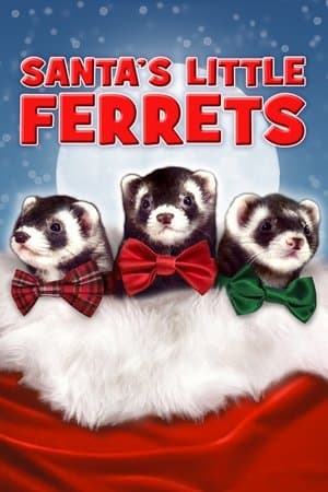 Santa's Little Ferrets streaming