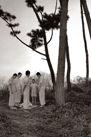 Children of Light streaming