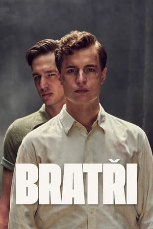 Bratři streaming