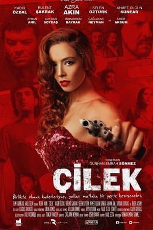 Çilek streaming