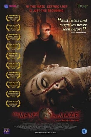 The Man in the Maze streaming