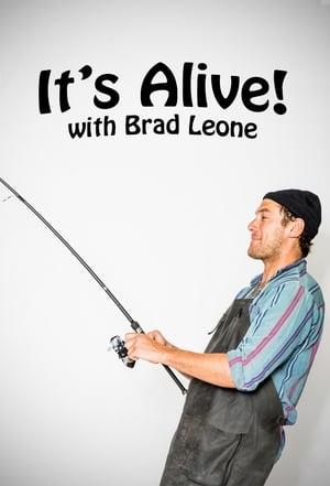 It's Alive! With Brad streaming