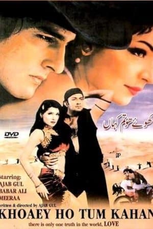 Khoey Ho Tum Kahan streaming