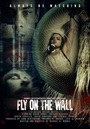 Fly on the Wall streaming