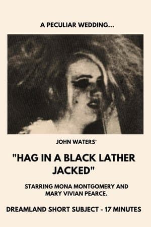 Hag in a Black Leather Jacket streaming