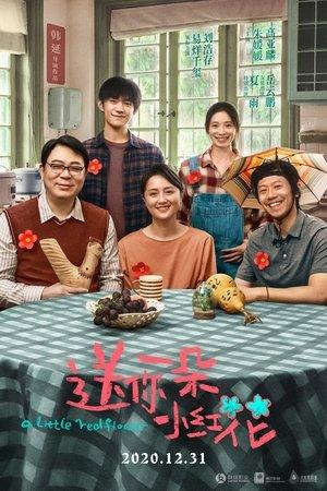 送你一朵小红花 streaming