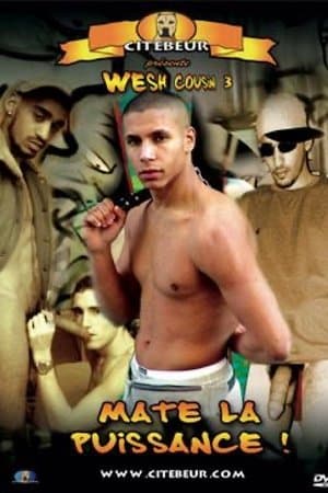 Wesh Cousin 3: Matte la puissance! streaming