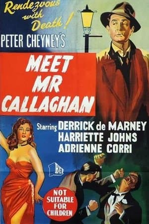 Meet Mr. Callaghan streaming