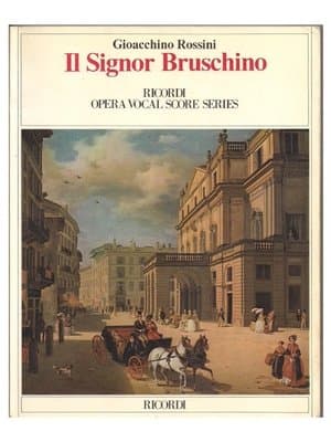 Il signor Bruschino streaming