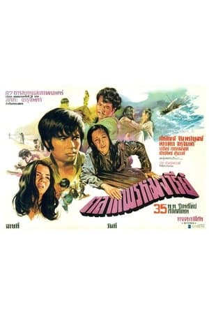 The Virgin Market streaming