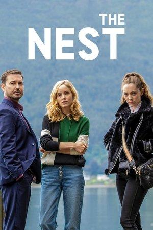 The Nest streaming