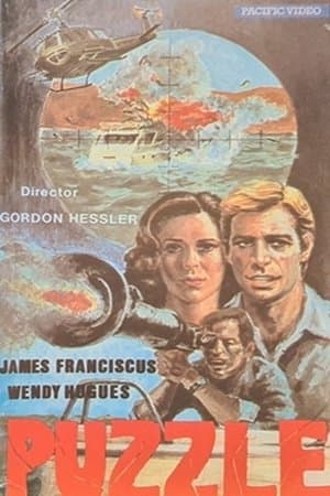 Puzzle streaming
