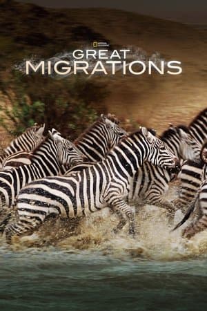 Great Migrations streaming