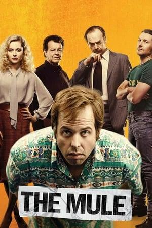 The Mule streaming