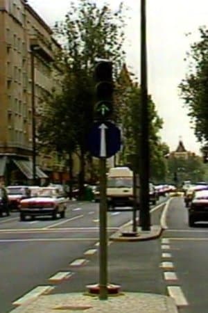 Sétimo Direito streaming