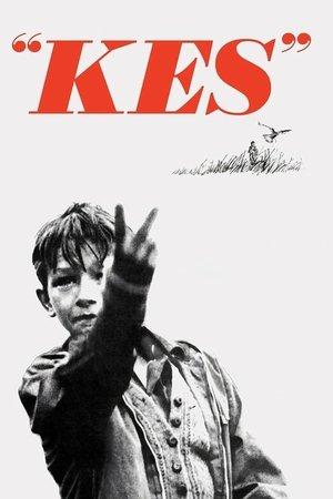 Kes streaming