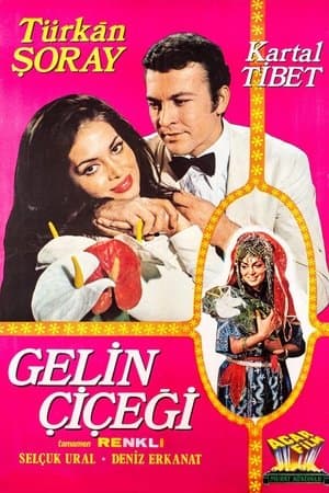 Gelin Çiçeği streaming