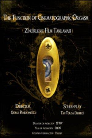 The Function of Cinematographic Orgasm streaming