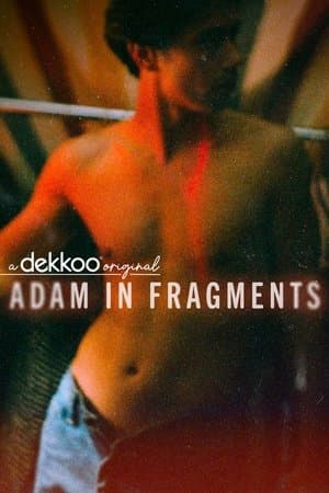 Adam in Fragments streaming