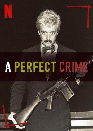 A Perfect Crime streaming