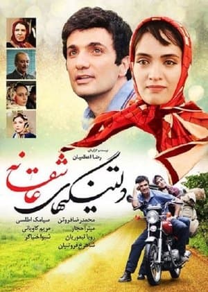 دلتنگیهای عاشقانه streaming