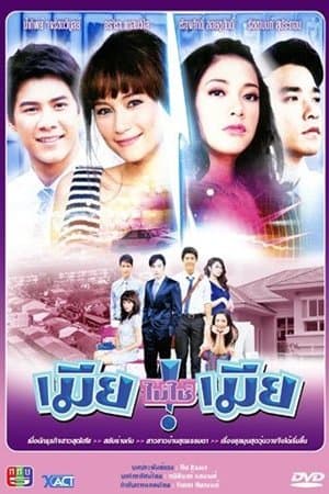 Wife, Not My Wife streaming