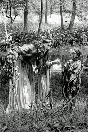 A Midsummer Night's Dream streaming