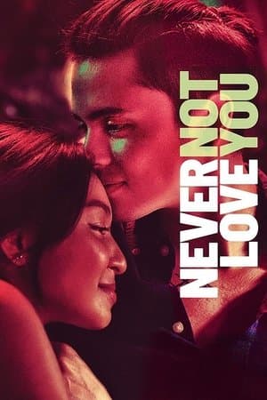 Never Not Love You streaming