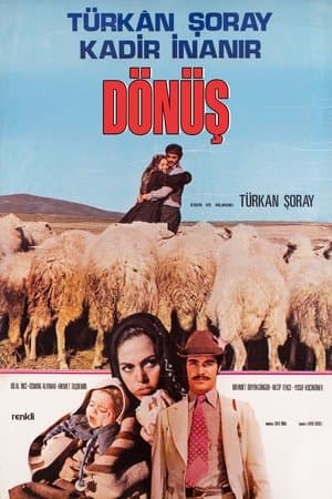 Dönüş streaming