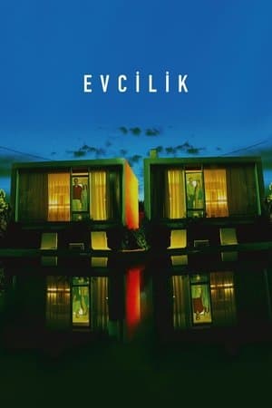 Evcilik streaming