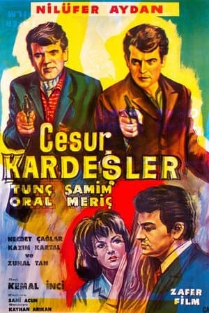 Cesur Kardeşler streaming