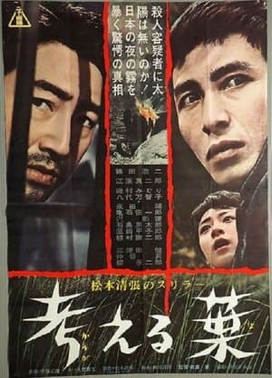 考える葉 streaming