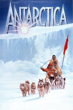 Antarctica streaming