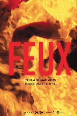 Feux streaming