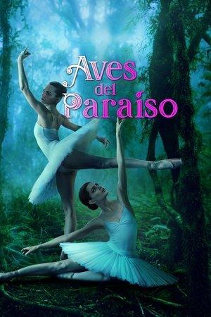 Aves del paraíso streaming