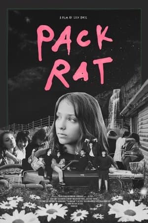 Pack Rat streaming