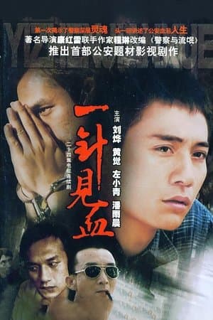一针见血 streaming