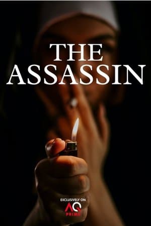 The Assassin streaming