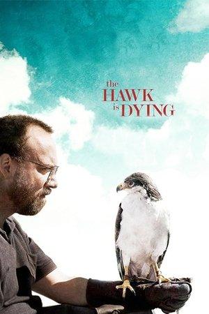 The Hawk Is Dying streaming