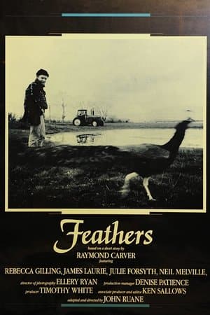 Feathers streaming